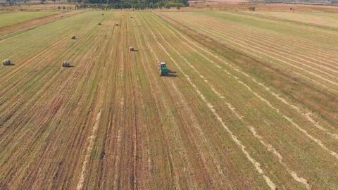 Aerial shot from top to down of tractor cutting grass and moving forward Vídeo Stock 98488017