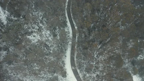 Aerial shot top down view of car driving in snow forest at Falls Creek Video stock 157395063