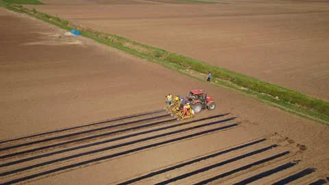 Aerial shot of a tractor laying agril foil on cucumber fields Stock Footage 90834341