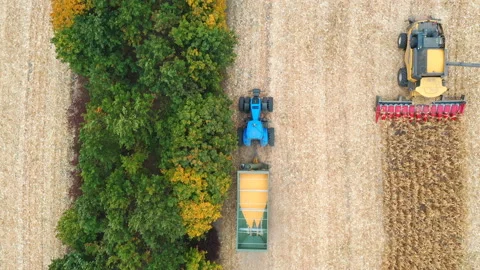 Aerial shot of tractor transporting corn cargo along field. Flying over Stock Footage 143327122