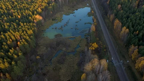 Aerial Shot Of train driving through countryside in autumn in forest 스톡 동영상 121584895