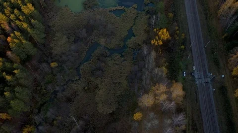 Aerial Shot Of train driving through countryside in autumn in forest 스톡 동영상 121585590