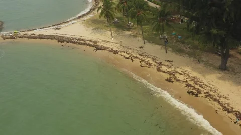 Aerial shot of trash &amp; garbage on beach ,East Coast Park, Singapore Stock Footage 137280580