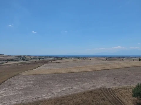 AERIAL SHOT OF TREE IN THE FIELDS_A2 Stock Footage 79789512