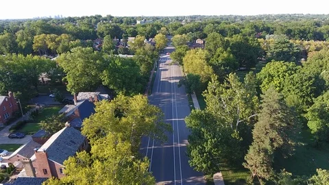 Aerial shot of tree lined empty street in neighborhood Stock Footage