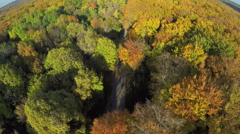Aerial shot of trees in beautiful Fall color in the mountain forest 動画素材 60600250