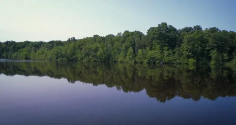 Aerial shot of trees with camera pan left Stock Footage 54709908