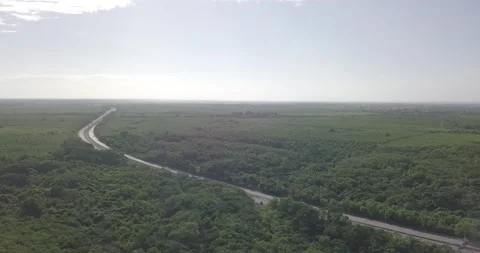 Aerial shot of trees Video stock 201267831