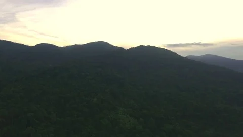 Aerial shot of tropical forest Stock Footage 80567552