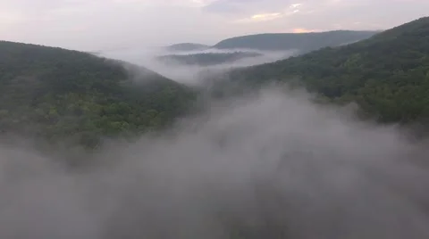 Aerial shot of a tropical rainforest Stock Footage 65394341