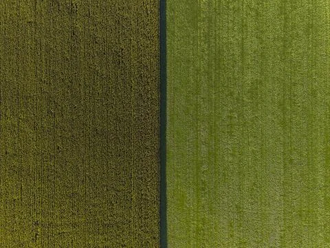 Aerial shot of two adjacent fields Foto stock