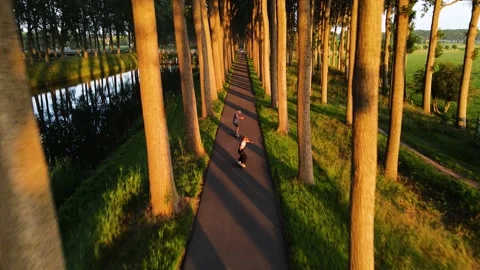 Aerial shot of two persons skating with a longboard on a beautiful tree avenue Stock Footage 140802224