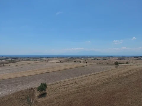 AERIAL SHOT OF TWO TREES IN THE FIELDS_A1 Stock Footage 79830184