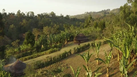 Aerial shot of a typical house surrounded by fields, in Ethiopia Stock Footage 205938873