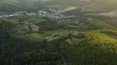 Aerial shot of a typical vineyard at sunset surrounded by forest, Tuscany, Italy Stock Footage 286306510