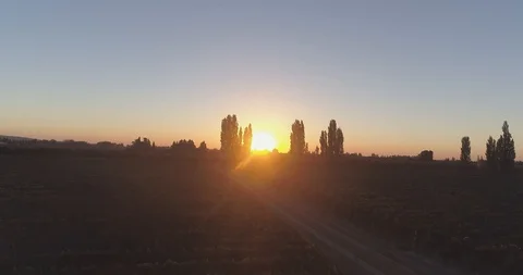 Aerial shot of a vineyard Stock Footage 119291264