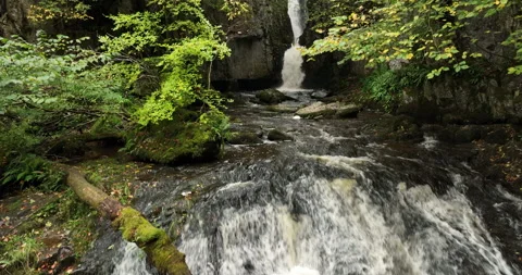 Aerial shot of a waterfall in a leafy forest Stock Footage 220102349
