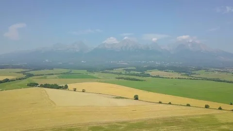 Aerial shot a wheat field Vídeo Stock 79190983