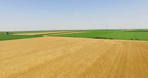 Aerial Shot of Wheat Fields Stock Footage 112672447