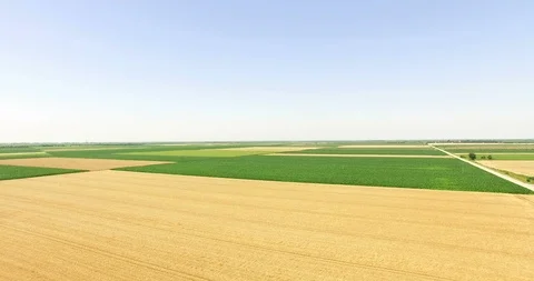 Aerial Shot of Wheat Fields Stock Footage 112680930