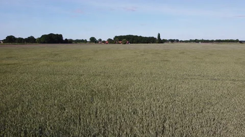 Aerial shot of wheat 動画素材 133281179