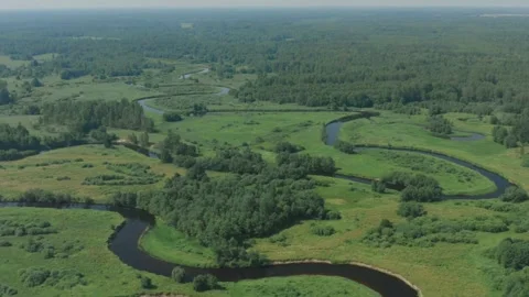 Aerial shot of a winding river through green meadows Stock Footage 333836879