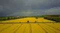 Aerial shot yellow blooming rape fields dark thunderstorm clouds and rainbow 4k or 4k+ Resolution