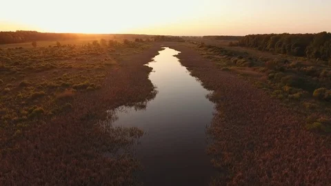 Aerial shoting. A river in the middle of a clearing in a wild forest. Sunset Stock Footage 75429842