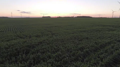 Aerial shots of the fields and windmills. Video stock 50813451