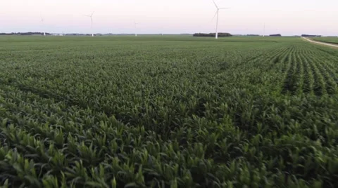 Aerial shots of the fields and windmills. Stock Footage 50816384