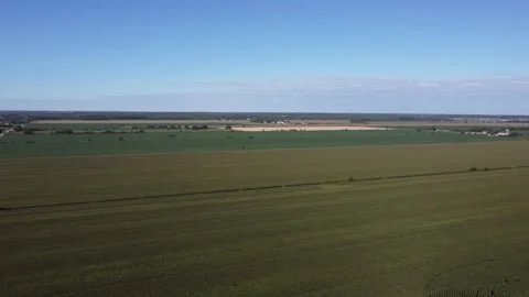Aerial shots over Corn Fields 4K pan right to left Stock Footage 204138590