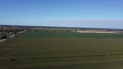 Aerial shots over Corn Fields 4K track L to R 100 ft Stock Footage 204139189