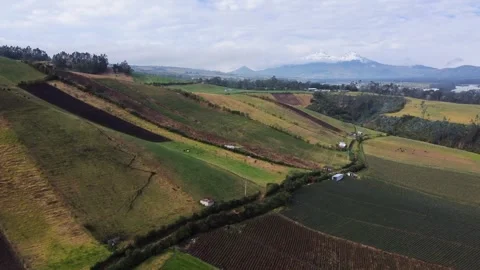 Aerial showcasing lush, rolling hills with patchwork of cultivated fields, Stock Footage 287561527