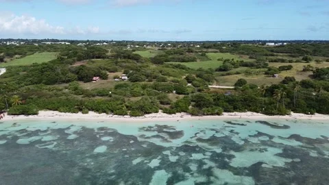 Aerial Side Flight | Caribbean Beach and Coral Reef in Guadeloupe, France Stock Footage 142242511