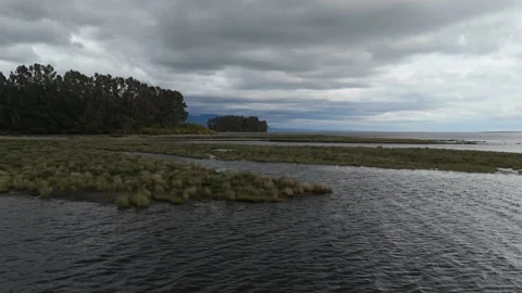 Aerial Side Flight Over Bay Facing Shore with Floating Islands and Marshes in Le Video stock 325329778