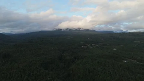 Aerial Side Flight Over Massive Forest Valley with Centered Clouded Mountain in Stock Footage 325329763
