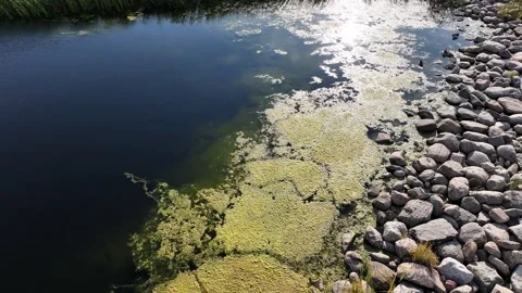 Aerial Side Scroll Over Retention Pond in Barrie, Ontario Video stock 316991531