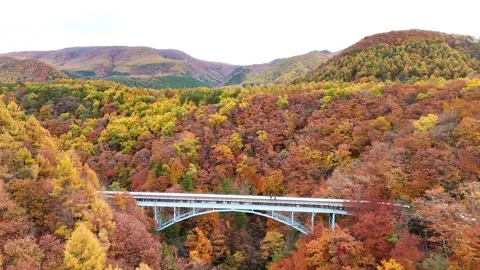 Aerial Side View of Blue Bridge Spanning Autumn Valley in Japan│4K Stock Footage 329054414