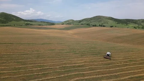 Aerial side view close up one harvester machine cultivates field in summer .. Stock Footage 277566764