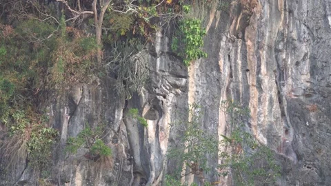Aerial Side View Of A High Sloped Mountain Hill With Dusky Leaf Monkeys Video stock 183287279