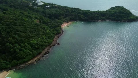 Aerial Side View of Jungle Beach and Lush Greenery Video stock 313977031