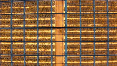 Aerial side view of large industrial greenhouses for growing plants in winter Video stock 149065571