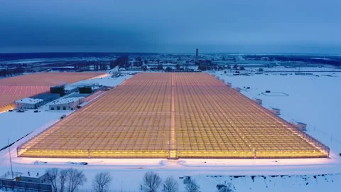 Aerial side view of large industrial greenhouses for growing plants in winter Video stock 149252147
