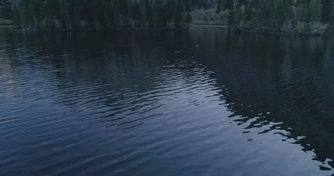Aerial of Silver Lake surrounded with pine forest 스톡 동영상 108734419