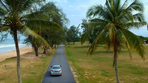 Aerial: A single car is driving through a beautiful beach road with palm trees  Stock Footage
