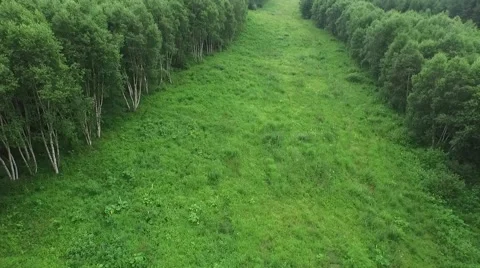 Aerial of ski resort in summer, alpine meadow Stock Footage 59552016