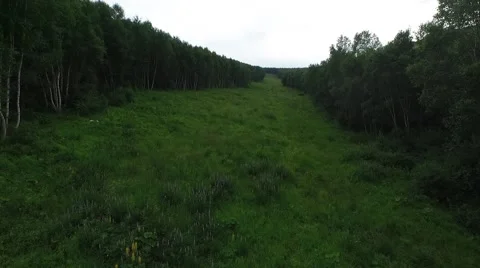 Aerial of ski resort in summer, alpine meadow Stock Footage 59552049