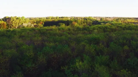 Aerial sky forest treetops back flight drone height 50 meters high angle 25 Stock Footage 246998589
