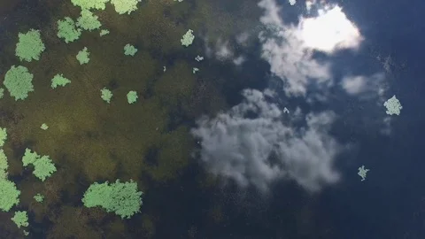 Aerial Sky Reflection on Lake Surface Stock Footage 80425238