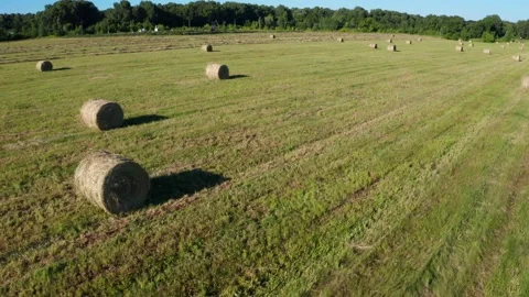 AERIAL: Slow and low drone flight over a field on a farm. Stock Footage